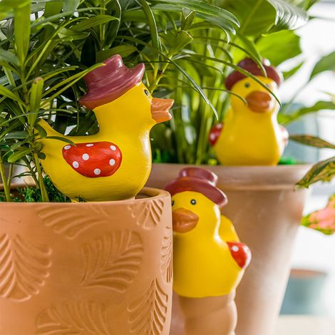 Arroseur automatique en terre cuite Lot de 4 canards jaunes Système d'irrigation goutte-à-goutte pour plantes d'intérieur et extérieur (1/5)