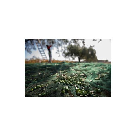C RETE P/OLIVE ANTISPINA 32G 5 X200M CALABRIA- 1,0 rotoli