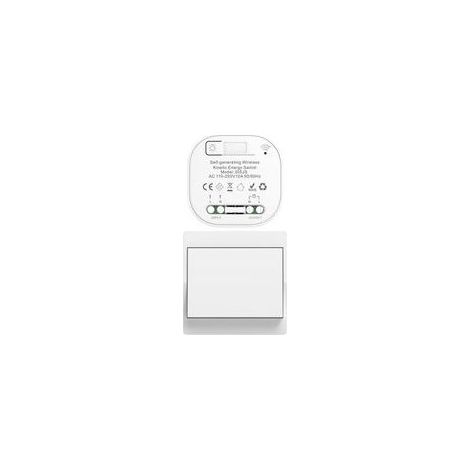 Interrupteur Sans Fil - 433 MHz - Portée Jusqu'à 100 M En Champ Libre - Pour Éclairage Domestique - 1 Touche (1/5)
