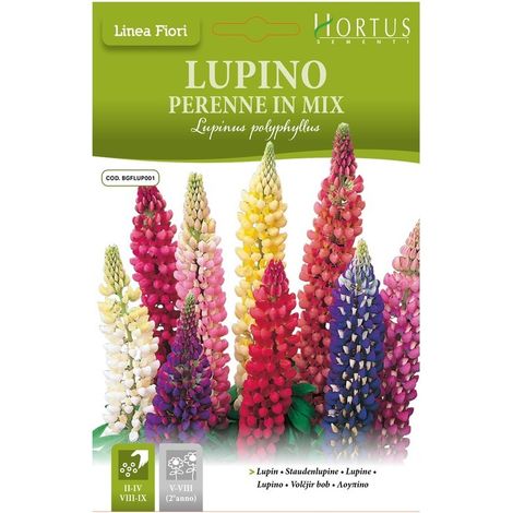 Lupinen-Mischung für farbenfrohe Gartenblüten