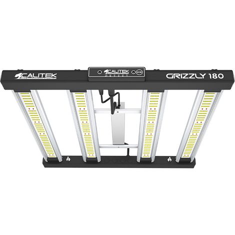 Led Grizzly - 180W 2.9 - Calitek (1/3)