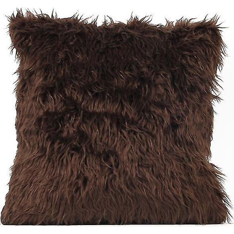 1 taie d'oreiller décorative pour canapé et intérieur (1/3)