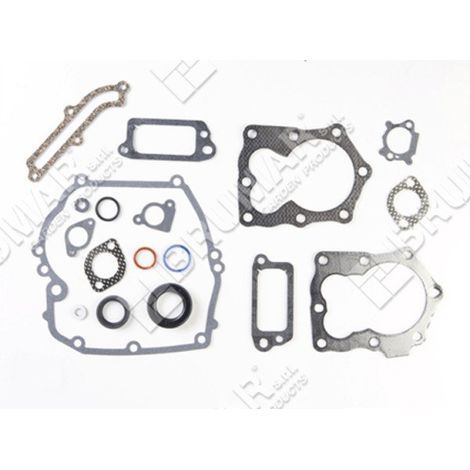Dichtungssatz für BRIGGS & STRATTON-Motoren 590508 (ex 794307 - 497316) - 026096