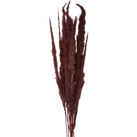 Bouquet de Fleurs Séchées 100 cm pour Décoration Intérieure Couleur Brun Marron - PANGIVO (1/4)
