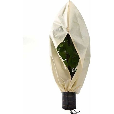 Housses pour plantes Housse hivernage pour Plantes, Housse hivernage pour Plantes, Housse d'hivernage Non tissée 140 g/m² Protection Contre Le Gel des Plantes en Palmier et Olivier (250x360cm),de DEB