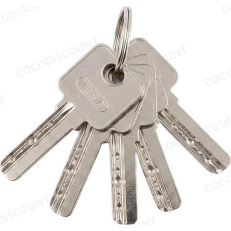Cobye - Cylindre de serrure 70 mm pour porte d’entrée d’appartement – Barillet de sécurité- 5 clés – porte blindée et standard (1/4)