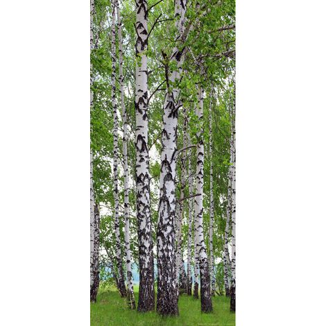Birch's wood, intissé photo mural, 90 x 202 cm, 1 part (1/3)