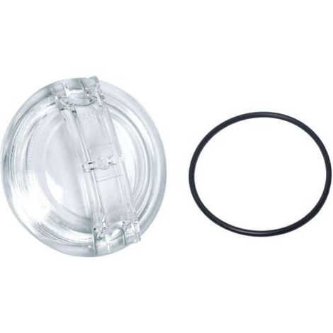 Couvercle de pompe de piscine de rechange fiable pour Hayward Super II 2 SPX3100D (1/5)