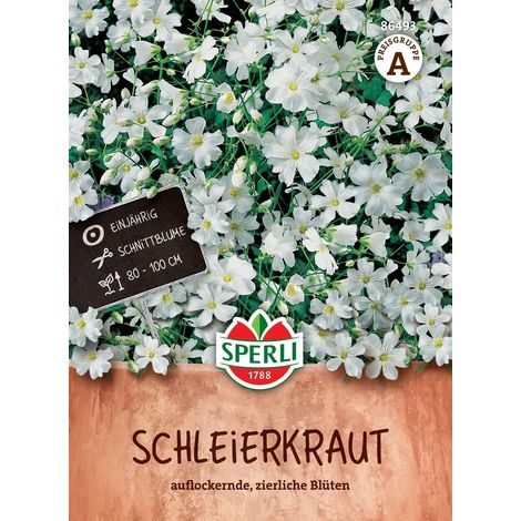 Sperli – Gypsophile élégante blanche – Graines de fleurs, hauteur 80 à 100 cm, pour env. 75 plantes (1/2)