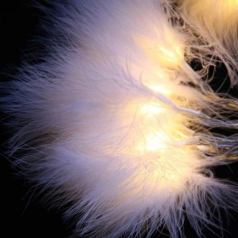 1.2m 10 leds blanche Guirlande lumineuse en plumes, alimentée par batterie, luminaire décoratif'intérieur, id (1/4)