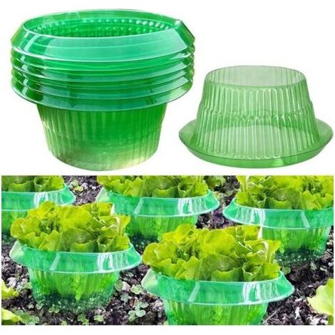 6 colliers anti-limaces et escargots – Protection naturelle pour plantes, sans produits chimiques, idéal pour potager et jardin (lot de 6) (1/5)