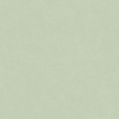 Papier peint Uni Vert Pop Style A.S. Création (1/4)