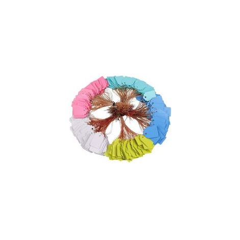 Étiquettes de plantes imperméables étiquettes de jardin en plastique réutilisables étiquettes à suspendre multicolores avec étiquettes de semis de ficelle 500 pièces (5 couleurs/3,5 x 2,5 cm) (1/5)