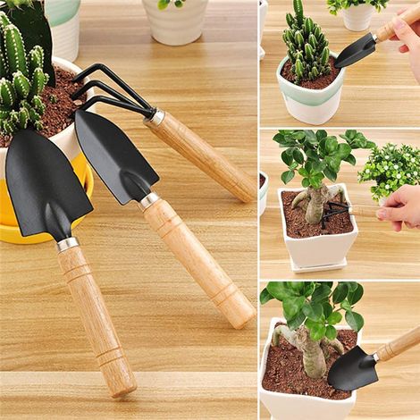 Ensemble de 10 outils de jardinage pour bonsaï et plantes succulentes : pelles, râteaux, fourches, ciseaux et brosse de nettoyage. (1/3)