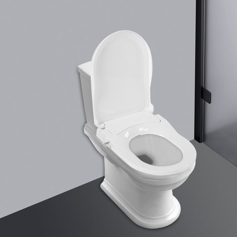 Non-Electric Bidet Bathroom Toilet Seat Dual Cleaning Nozzle Water Spray (1/5)