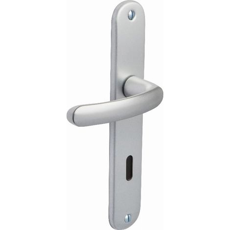 Türset Budget BEZAULT Achsabstand 195 mm Schlüssel L - Silber - 204856