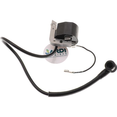 Bobine d'allumage compatible avec Cifarelli remplace 3007000 (1/3)