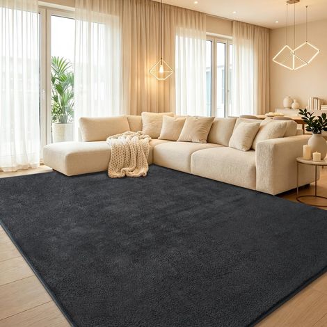 Grand tapis de salon - 200 x 300 cm - Moelleux et lavable - Anthracite (1/5)