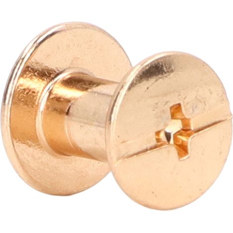 90 jeux de vis de reliure, 10x9,5mm, jeu de vis de reliure en cuir écologique à faire soi-même, jeu de rivets en cuir électroplaqués, finition dorée. (1/5)