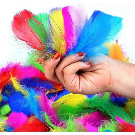 Plumes artisanales, plumes d'oie naturelles colorées, idéales pour la création de décorations (attrape-rêves, carnaval, chapeaux, vases, masques), douces et duveteuses (300 pièces). (1/5)