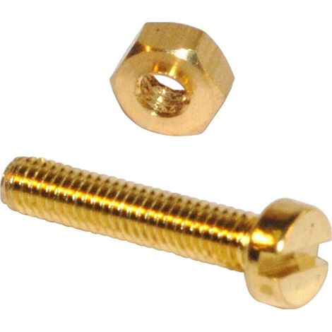 ORECA - 10 VITI PER METALLO TESTA CILINDRICA IN OTTONE LUCIDO mm 5X20