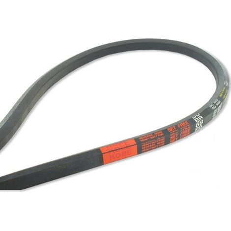Courroie hexagonale BB114 3005mm