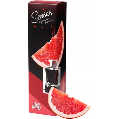 Stick di profumo per interni agli agrumi da 50 ml (1/2)