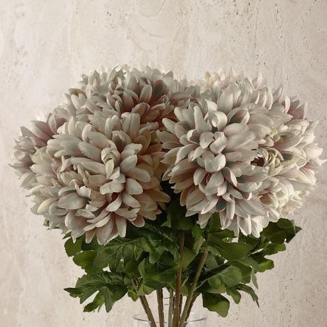 Pack of 6 x 75cm Extra Large Reflex Chrysanthemum - Mushroom - Premium Quality (1/5)