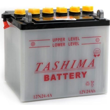 Batterie plomb 12V 24Ah – Dimensions 184x124x175mm – Positif à gauche – Livrée avec acide séparé – Pour tondeuse autoportée (1/2)