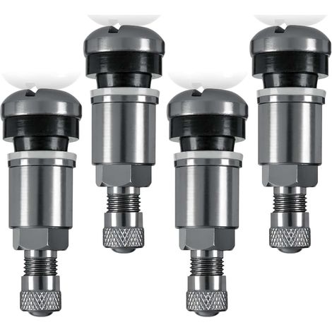 4 Pièces Valve Pneu Voiture Valve Tubeless Universelles Tire Valve, Valves de Jante Argentées en Acier Inoxydable, Valves en Acier Argenté avec Capuchon De Poussière, pour Moto Camion (1/5)