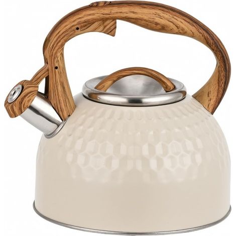 Vintage Whistling Ice Cream Maker with Stainless Steel Body, Stovetop Ice Cream Maker, Ergonomic, Induction Hob, Kitchen (1/5)