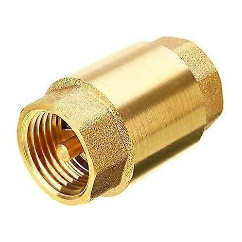 Clapet anti-retour fileté pour empêcher le reflux d'eau, de gaz ou d'huile (1/2" DN15) (1/5)