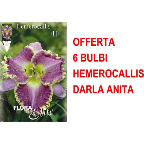 OFFERTA 6 BULBI HEMEROCALLIS DARLA ANITA BULBS BULBES