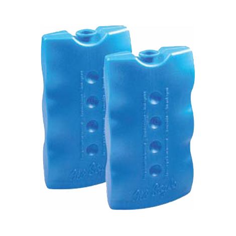 GHIACCIO SINTETICO-MATTONELLE GR.400 (PZ.2)- 10,0 confezione