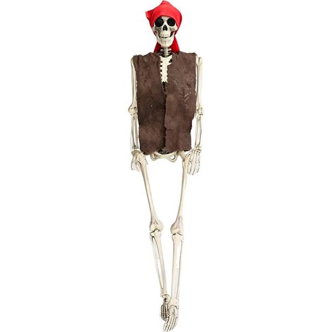 Squelettes grandeur nature pour Halloween : os humains avec articulations mobiles