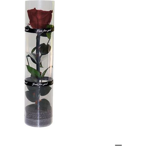 Rose Préservée - 27 cm - Diamètre Fleurs 4,5 cm - Réelle Rose Naturelle avec Tige et Feuilles - 1 Pièce (1/4)