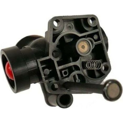Carburateur Briggs Stratton sur réservoir 498811