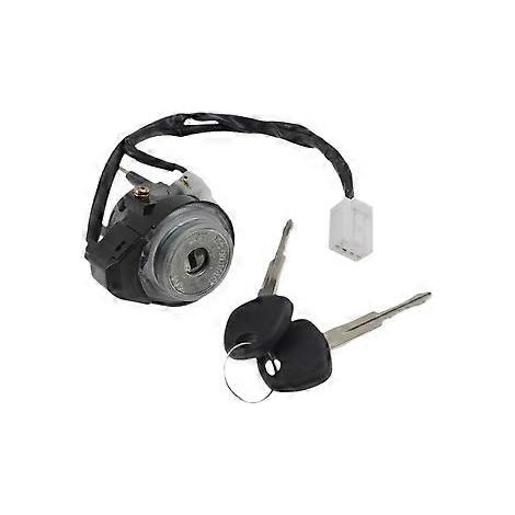Zündschlosszylinder mit 2 Schlüsseln für Hyundai Tucson 2005-2009 81920-2EA30