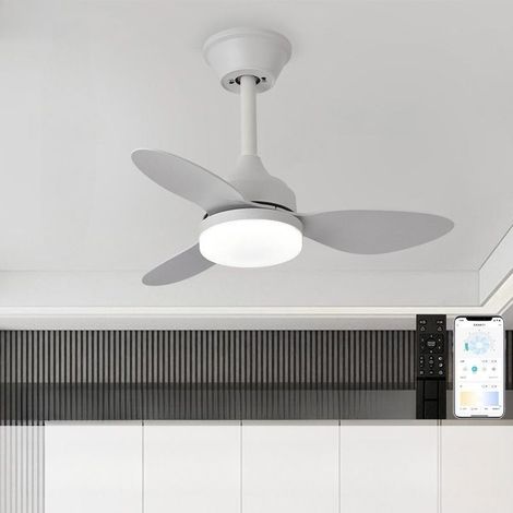 White 63cm Ceiling Fan with 3CCT LED Light, 6-Speed Remote Control, Modern Ceiling Fan for Small Rooms (1/5)
