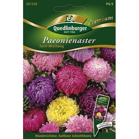 Quedlinburger Paeonienaster Turm Mischung - Premium Blumensamen