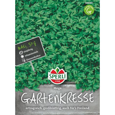 Sperli Gartenkresse Mega großblättrig - 50 g Großpackung - Kräutersamen (1/2)