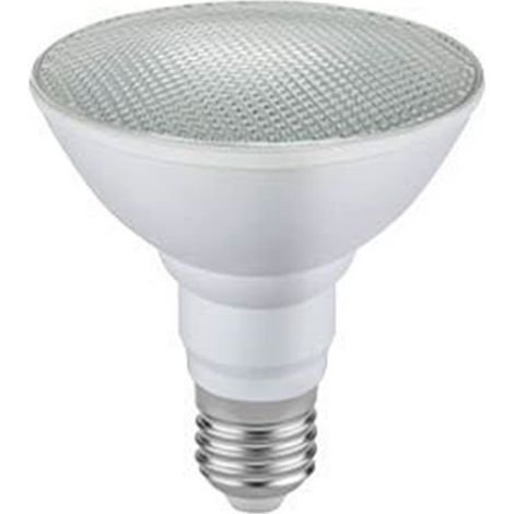 Lampadina LED PAR30 12W E27 6000K IP65