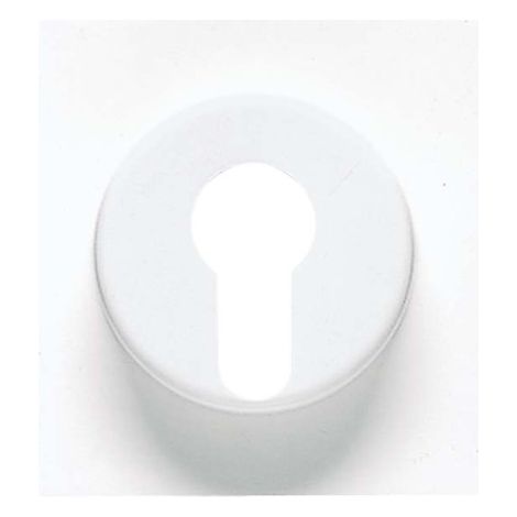 Jung Couvercle pour interrupteur à clé avec protection contre le démontage 1 poste, thermoplastique, série LS, blanc alpin LS 928 WW