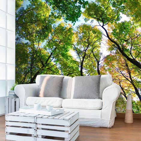 Papier peint regardant les arbres - 300 x 230 cm (1/4)