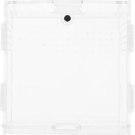1 boîte d'élevage transparente (1/3)