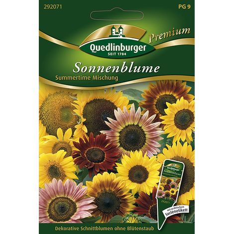 Quedlinburger Saatgut – Tournesol « Summertime » en mélange – Graines de fleurs, 180-200 cm