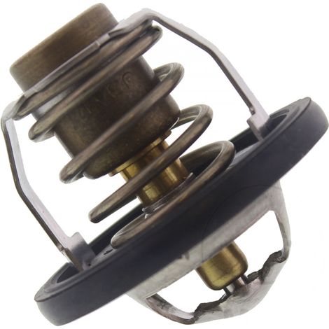 Termostato Tourmax (TMT-301)