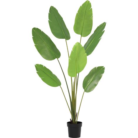 Strelitzia Nicolai Artificielle Plante Verte Tropicale Décoration Salon et Bureau 170 cm - PANGIVO (1/5)
