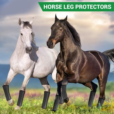 Protège-Jambes pour Cheval 4pcs Anti-Moustiques, Respirant, Mesh, Noir, Dimensions 18.5"x14.6"x14.5"
