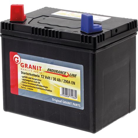 Batteria Endurance Line 12V 30Ah 63034